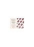 Main View - Click To Enlarge - MERCATO GOURMET BY GIANDO - Lavoratti Frozen Gelato Chocolate Dark Strawberry 12pc