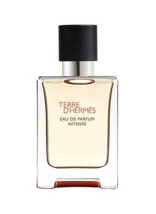 Main View - Click To Enlarge - HERMÈS - Terre d'Hermès Eau de Parfum Intense 50ml