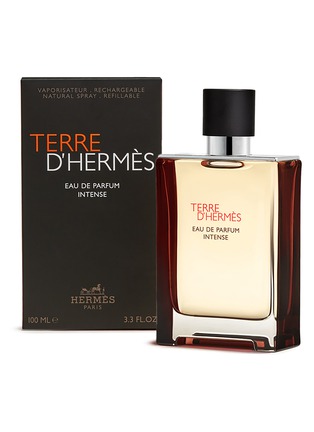Detail View - Click To Enlarge - HERMÈS - Terre d'Hermès Eau de Parfum Intense 100ml