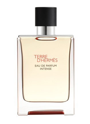 Main View - Click To Enlarge - HERMÈS - Terre d'Hermès Eau de Parfum Intense 100ml