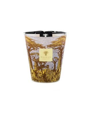 Main View - Click To Enlarge - BAOBAB COLLECTION - Sacred Trees Cocody MAX16 Scented Candle 1.1kg