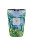 Main View - Click To Enlarge - BAOBAB COLLECTION - Sacred Trees Yarani MAX24 Scented Candle 3kg