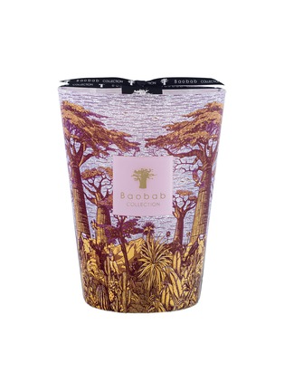 Main View - Click To Enlarge - BAOBAB COLLECTION - Sacred Trees Massasso MAX24 Scented Candle 3kg