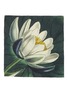 Main View - Click To Enlarge - SUMMERILL & BISHOP - X John Derian Lotus Linen Napkin