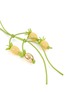 Detail View - Click To Enlarge - LOEWE - Tomato Branch Leather Charm