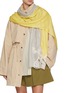 Figure View - Click To Enlarge - LANE'S - The New H Lace Panel Cashmere Silk Shawl