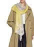 Figure View - Click To Enlarge - LANE'S - The New H Lace Panel Cashmere Silk Shawl