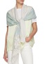Figure View - Click To Enlarge - LANE'S - The New H Lace Panel Cashmere Silk Shawl