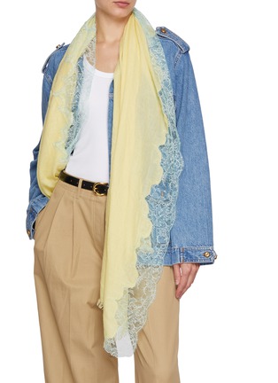 Figure View - Click To Enlarge - LANE'S - The New H Lace Edge Cashmere Silk Shawl