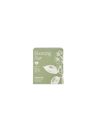 Detail View - Click To Enlarge - SOWVITAL - Blooming Pear Scented Candle 190G