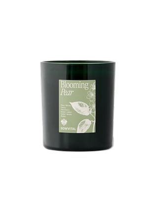 Main View - Click To Enlarge - SOWVITAL - Blooming Pear Scented Candle 190G