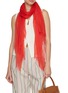 Figure View - Click To Enlarge - LANE'S - The New H Superfine Cashmere Shawl