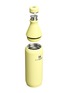 Detail View - Click To Enlarge - STANLEY - All Day Slim Bottle 20 Oz — Pomelo Gloss