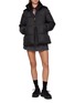 Figure View - Click To Enlarge - MONCLER - Esnaie Trimmed Puffer Jacket