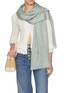 Figure View - Click To Enlarge - LANE'S - The New H Modal Silk Cashmere Shawl