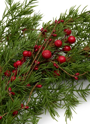 Detail View - Click To Enlarge - SHISHI - Mixed Berry Cone Wreath
