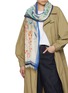 Figure View - Click To Enlarge - LANE'S - Botanical Print Cotton Silk Shawl