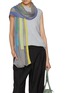 Figure View - Click To Enlarge - LANE'S - Stirpe Embroidered Wool Shawl
