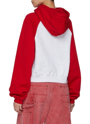 Back View - Click To Enlarge - SUNDAYFRUITMARKET - Raglan Sleeve Hoodie
