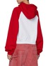 Back View - Click To Enlarge - SUNDAYFRUITMARKET - Raglan Sleeve Hoodie