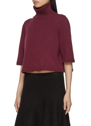 Front View - Click To Enlarge - ALAÏA - Turtleneck Cropped Top