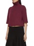 Front View - Click To Enlarge - ALAÏA - Turtleneck Cropped Top