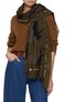Figure View - Click To Enlarge - CITRUS - Bosanova Ski Writing Wool Scarf