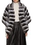Main View - Click To Enlarge - CHEVITE - Chinchilla Fur Cape