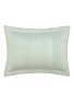 Detail View - Click To Enlarge - YVES DELORME - Pollen Pillow Case
