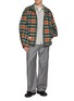 Figure View - Click To Enlarge - WOOYOUNGMI - High Neck Chequered Jacket