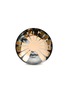 FORNASETTI Tema e Variazioni Wall Plate N°37