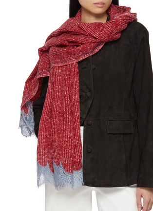 Figure View - Click To Enlarge - LANE'S - Lace Trim Wool Silk Shawl