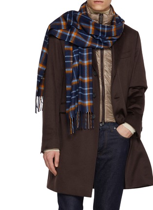 Figure View - Click To Enlarge - PIACENZA 1733 - Windowpane Silk Cashmere Scarf