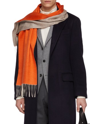 Figure View - Click To Enlarge - PIACENZA 1733 - Bicolour Doubleface Silk Cashmere Scarf