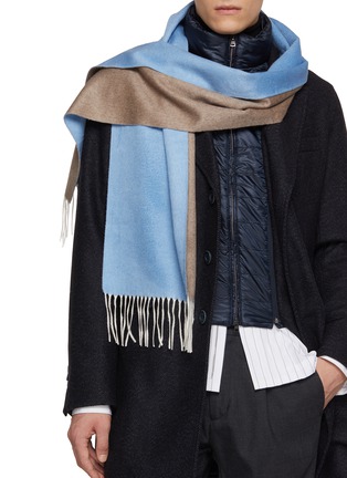 Figure View - Click To Enlarge - PIACENZA 1733 - Bicolour Doubleface Silk Cashmere Scarf