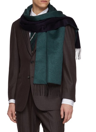 Figure View - Click To Enlarge - PIACENZA 1733 - Bicolour Doubleface Silk Cashmere Scarf