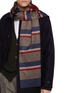 Figure View - Click To Enlarge - PIACENZA 1733 - Fringed Striped Silk Cashmere Scarf
