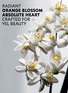  - YSL BEAUTÉ - MYSLF L'Absolu Parfum 100ml