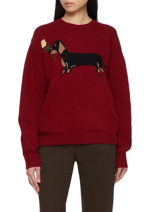 Main View - Click To Enlarge - SIENNE - Dachshund Knit Sweater
