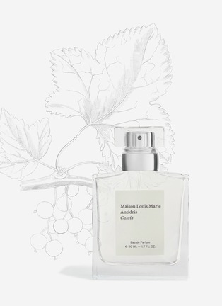 Detail View - Click To Enlarge - MAISON LOUIS MARIE - Antidris Cassis Eau de Parfum 50ml
