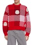Detail View - Click To Enlarge - BAZ & FRIENDS - x CYNTHIA & XIAO Baz Checkered Wool Sweater
