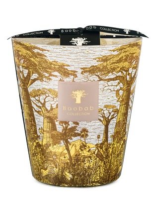 Main View - Click To Enlarge - BAOBAB COLLECTION - Sacred Trees Bounkani MAX 16 Scented Candle 1.1kg