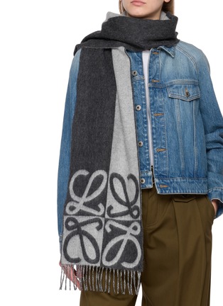Figure View - Click To Enlarge - LOEWE - Cashmere Scarf