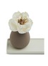 Detail View - Click To Enlarge - ANOQ - Leoni Ceramic Diffuser — Choco