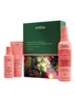 AVEDA Moisture Marvels: Nutriplenish™ Hydrating Light Gift Set