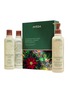 AVEDA Invigorating Awe: Rosemary Mint Hair & Body Essentials Gift Set