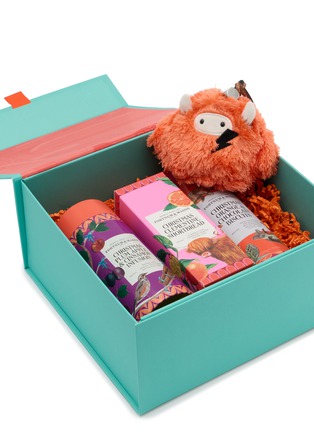 Detail View - Click To Enlarge - BAZ & FRIENDS - x Fortnum & Mason Christmas Gift Box 2025