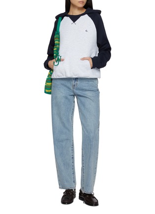 Figure View - Click To Enlarge - CLOVE - Raglan Sleeve Cotton Blend Hoodie