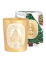 Detail View - Click To Enlarge - DIPTYQUE - Limited Edition Sapin Scented Candle 190g