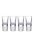 RICHARD BRENDON Baijiu Glass — Set Of 4